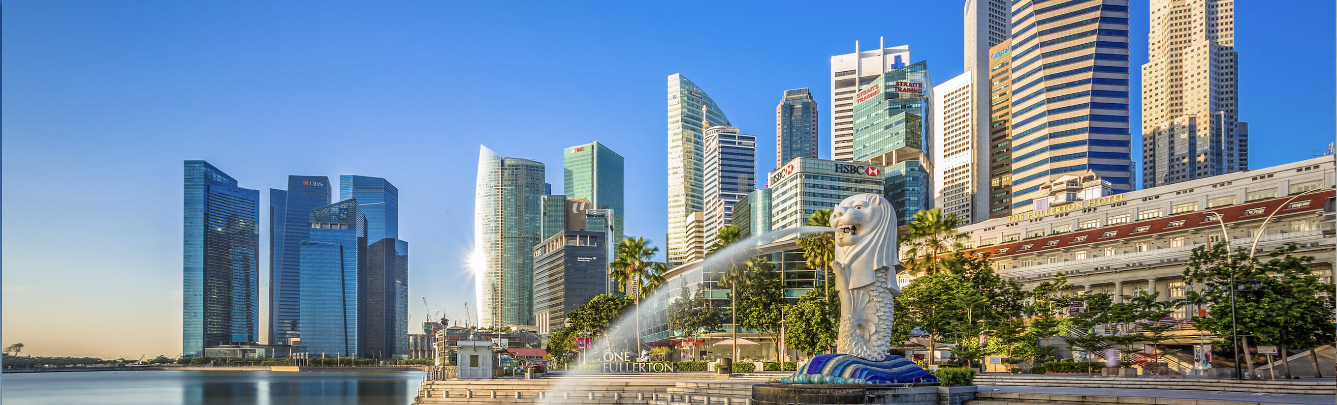 C&L Business Services Background